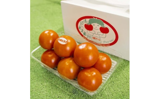 とまとの王子さま 約2.8kg ※2026年1月上旬～5月下旬頃に順次発送予定