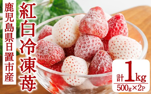 No.646 ＜選べる！＞冷凍いちご(白/紅白・約500g×2袋・計約1kg) 国産