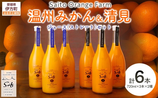 先行予約】【2026年5月以降順次発送】Saito Orange Farm 温州みかん