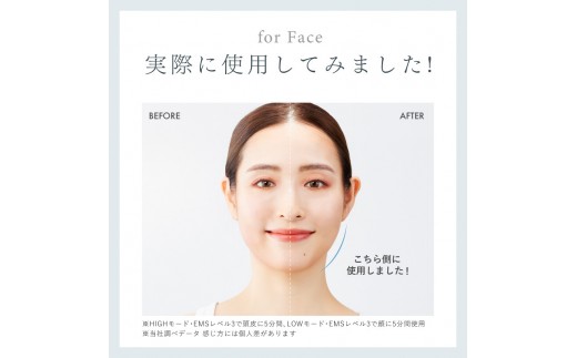 NIPLUX ブラシ型リフトケア EMS LIFT BRUSH | 1年保証 取扱説明書付き