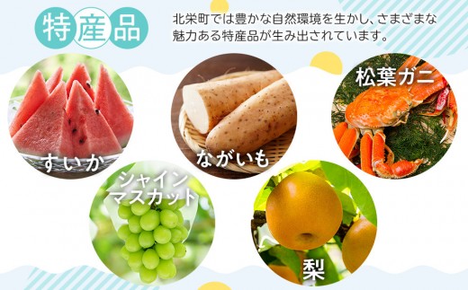 389.名探偵コナン手焼きせんべいフルセット【名探偵コナン コナン お