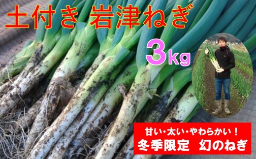 土付き岩津ねぎ 3kg 箱入り 【田中農園】 岩津ねぎ いわつねぎ ねぎ