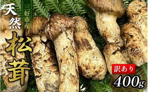 訳あり 松茸 400g 4～10本 天然 希少 まつたけ マツタケ 国産 きのこ