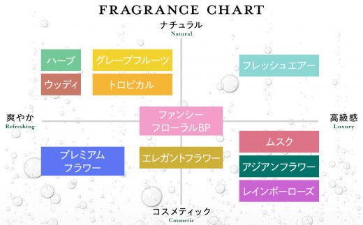 バーデンス シャンプートリートメント（フレッシュエアーの香り