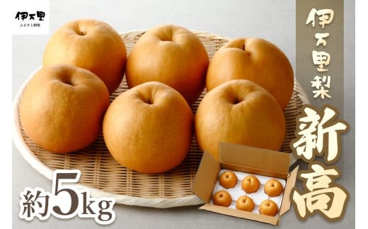 2026年産先行予約】伊万里梨「新高」 5kg 大型種 178-B942【フルーツ