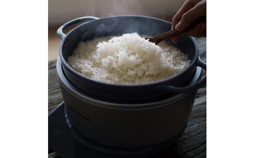 バーミキュラ ライスポット（ソリッドシルバー） | 炊飯器 調理器具