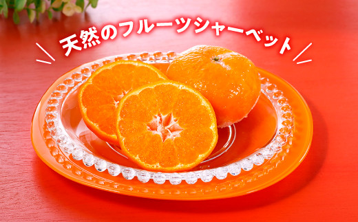 A1560.冷凍みかん約2キロ【限定100セット】 - 福岡県新宮町