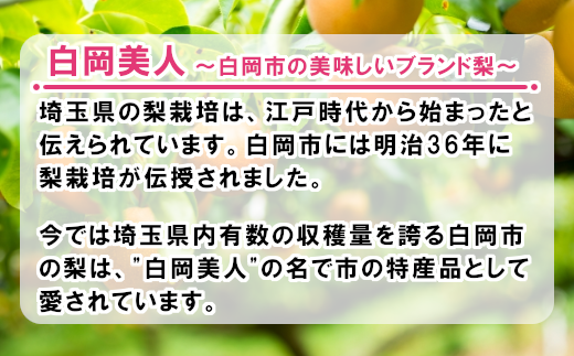 2026年発送分 先行予約】加藤梨園の美味しい梨 約5kg 幸水・豊水・あ