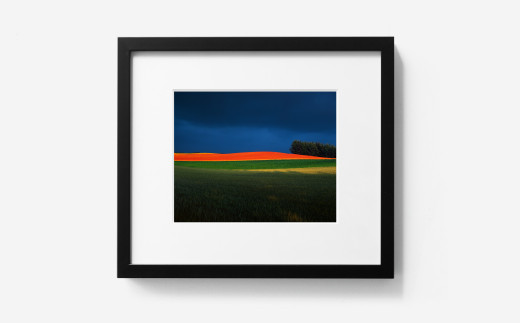 sd1_0f82433bb3c05c0d904fe72d6f