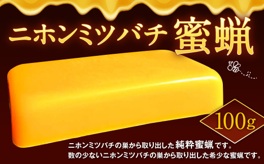 ニホンミツバチ 蜜蝋 1セット みつろう 純粋 ミツバチ 蜜蜂 - 福岡県