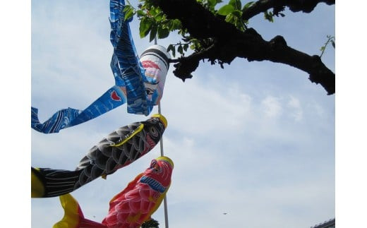 手染め] 鯉のぼりセット大（庭用）【0303】 - 愛知県岩倉市｜ふるさと