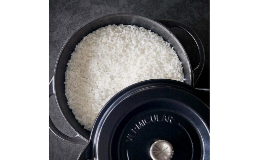 バーミキュラ オーブンポットラウンド22cm（パールグレー） | 鍋 なべ