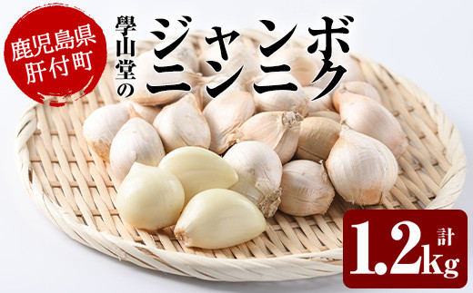 A69003 ＜先行予約受付中！2026年6月中旬以降準備が整い次第順次発送