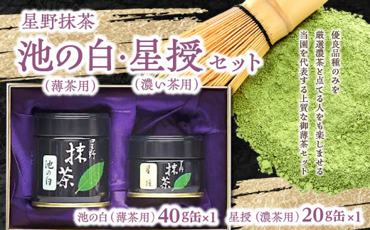 星野抹茶 星授（濃い茶用）・池の白（薄茶用） セット 抹茶 濃い茶