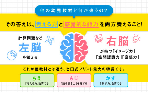江津市限定返礼品】七田式プリントC 4歳半～6歳 C-51｜しちだ 七田式