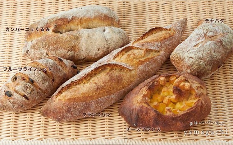 sd1_b3198fbae4ea6a493502c8e8fc