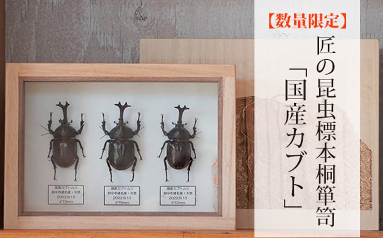 sd1_2e9e52083e8049e06ca18b4d55