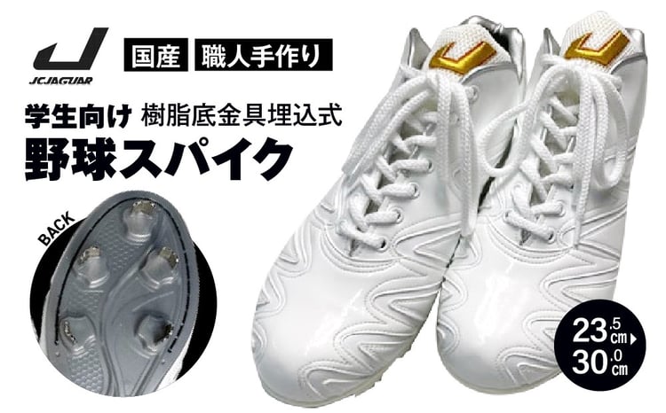 sd1_9c38b3231b0a849cccd4b7c661