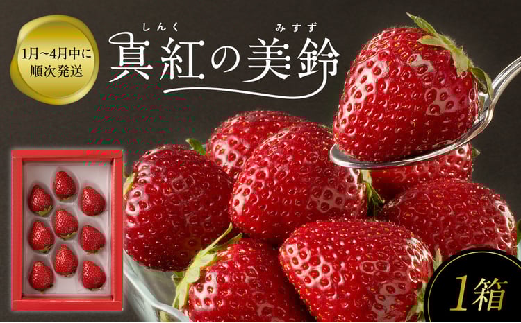 ☆予約受付☆杉山いちご農園 希少品種！ 黒色いちご「真紅の美鈴（しん