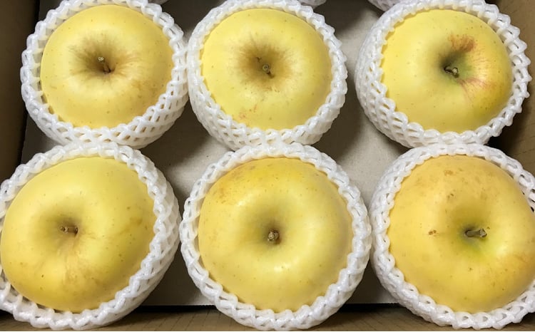 先行予約 9月頃から発送予定】旬のりんご 約5kg 品種おまかせ 1～2種