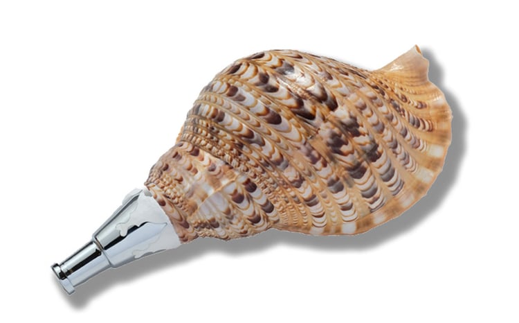 sd7_a9454ef604548519f628f252ad