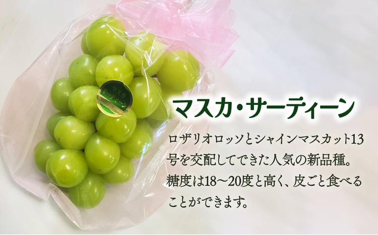 sd3_3f82e2c75cc170a5ccfcbbcda9