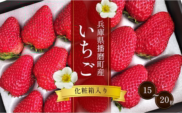 sd1_274e7f69ca3002b760c05e6876