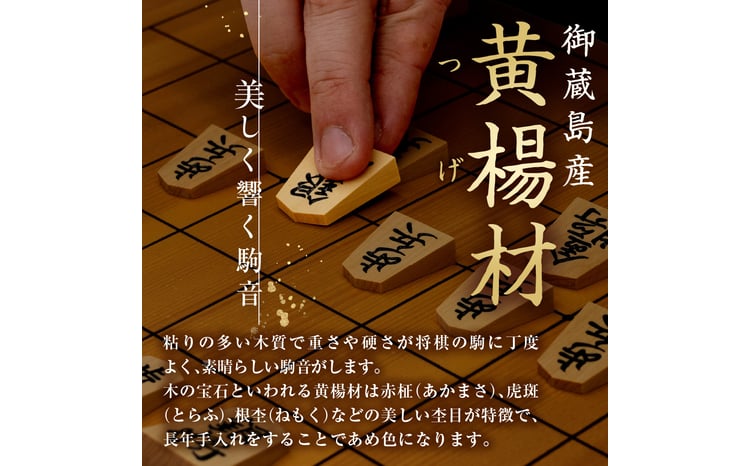 Y035719800 将棋駒殺人事件 Y035719800 将棋駒殺人事件