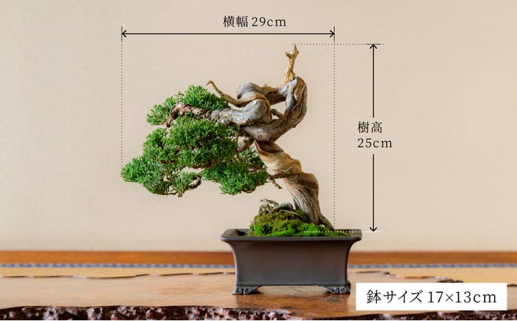 sd9_23e4b4d52f68144ebf21a35ad1