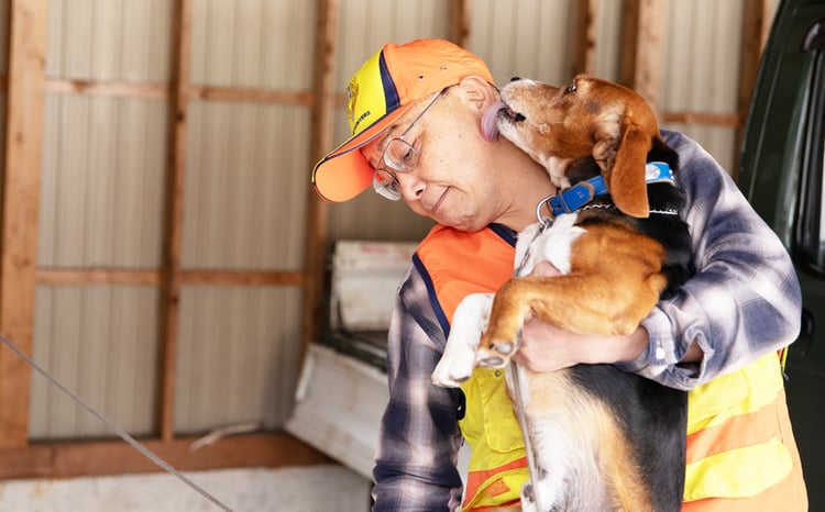 角付き鹿スカル / スカルトロフィー 鹿 鹿角 ツノ 骨 インテリア 趣味