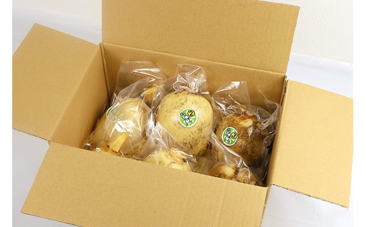 最高級Bigれんこん珠美】真空品 1kg 期間限定 れんこん 真空 パック