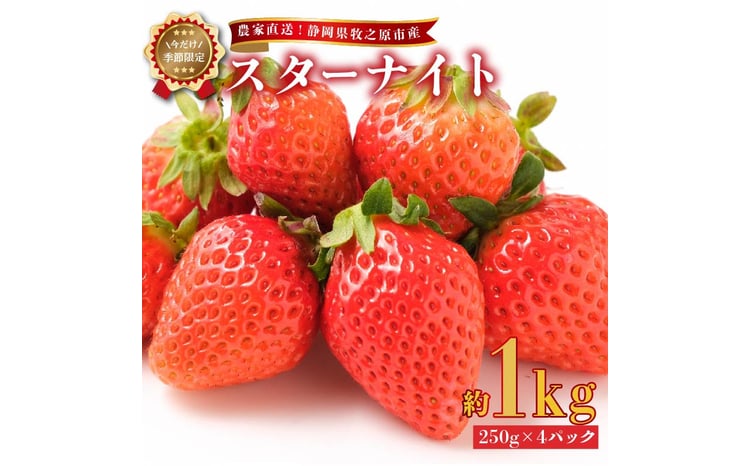 期間限定】 2026年2月中旬から順次発送 いちご 【スターナイト】 1kg