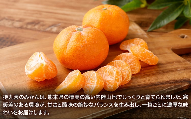 熊本県産 持丸ミカン 約3キロ 【2026年11月下旬発送開始】 蜜柑 みかん