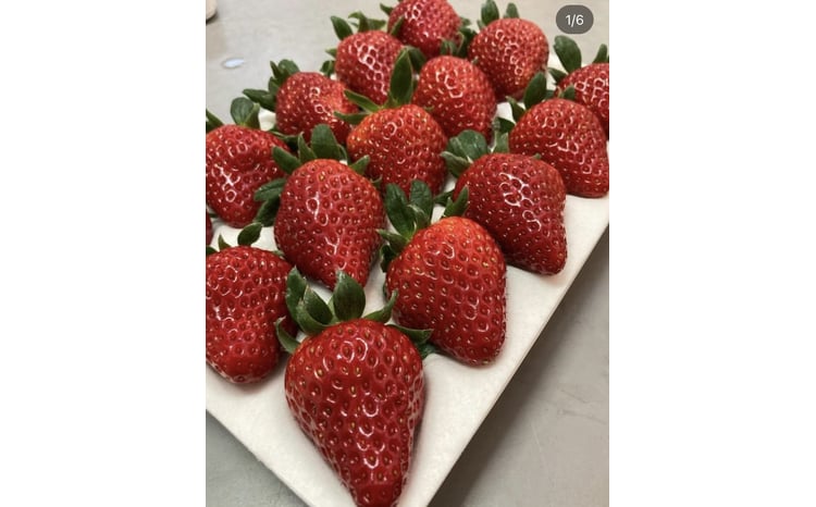D326 イチゴ屋けんちゃん高糖度桐箱 いちご - 山口県山口市｜ふるさと