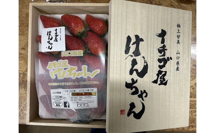 D326 イチゴ屋けんちゃん高糖度桐箱 いちご - 山口県山口市｜ふるさと