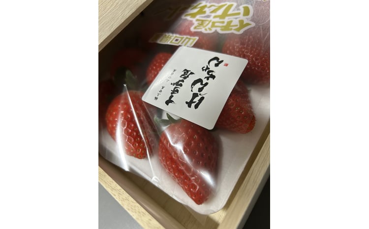 D326 イチゴ屋けんちゃん高糖度桐箱 いちご - 山口県山口市｜ふるさと
