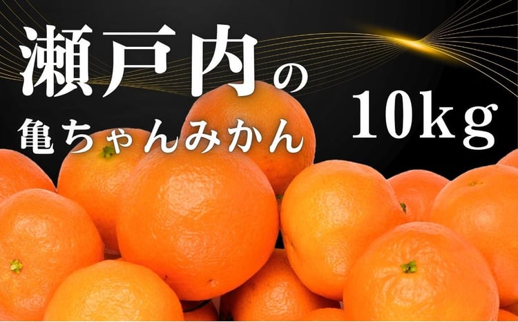 2/15で終了】 [11～2月発送] 瀬戸内の亀ちゃん みかん 約10kg 国産
