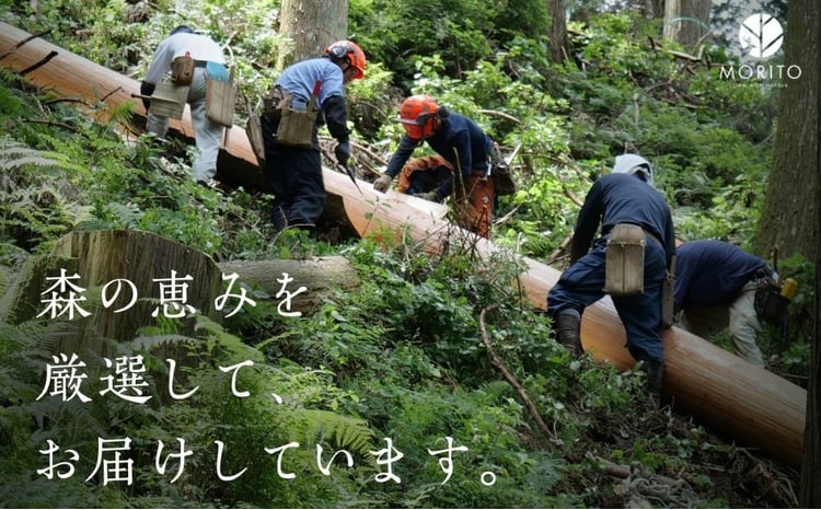 丸太(切り株)とアイアンスツール(スリム四つ脚×桧)／ スツール