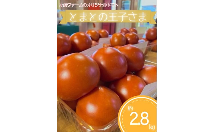 とまとの王子さま 約2.8kg ※2026年1月上旬～5月下旬頃に順次発送予定