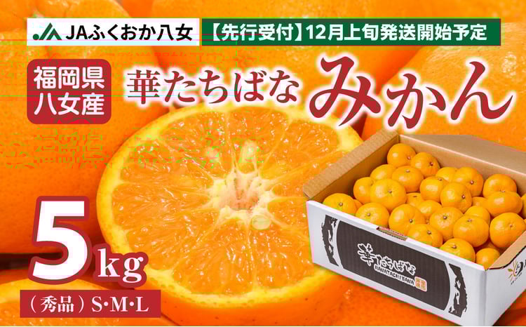 申込期間終了間近】華たちばなみかん 5kg（秀品 S／M／L） ｜ JA