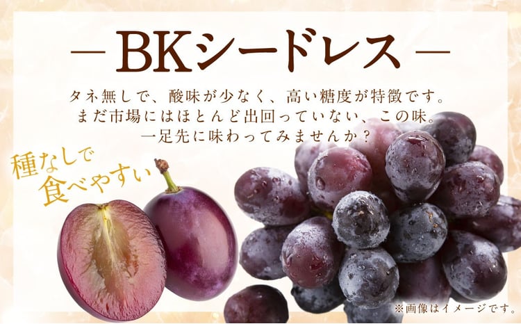 先行予約】 やまんどん BKシードレス 3房から5房 （約2kg） 【2026年8