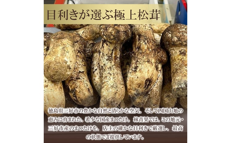 訳あり 松茸 400g 4～10本 天然 希少 まつたけ マツタケ 国産 きのこ