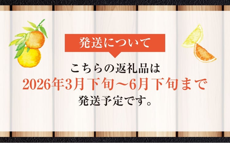 規格外品】河内晩柑 ご家庭用 15kg サイズ不選別【2026年3月下旬～6月