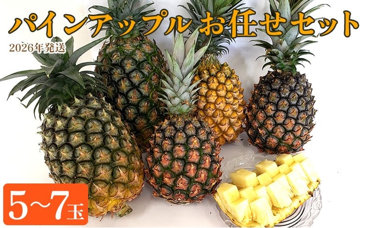 東村産パインアップルお任せセット2（5～7玉）【2026年発送】 パイン