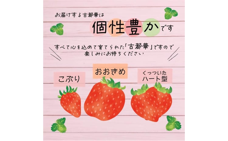いちご ことか 270g×2～4パック 大粒 古都華 数量限定 冷蔵 イチゴ 苺