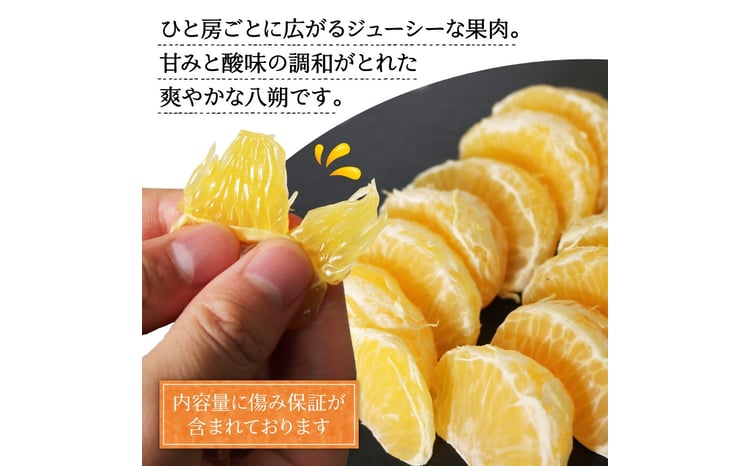 訳あり 八朔 約2kg 約4kg はっさく 【3月～順次発送】 南知多町産