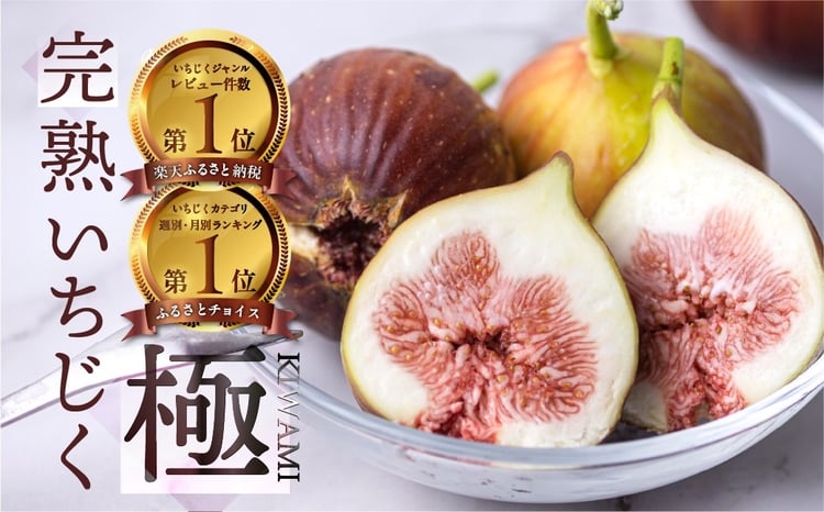 sd1_645163d2db3de661b1cffc1893
