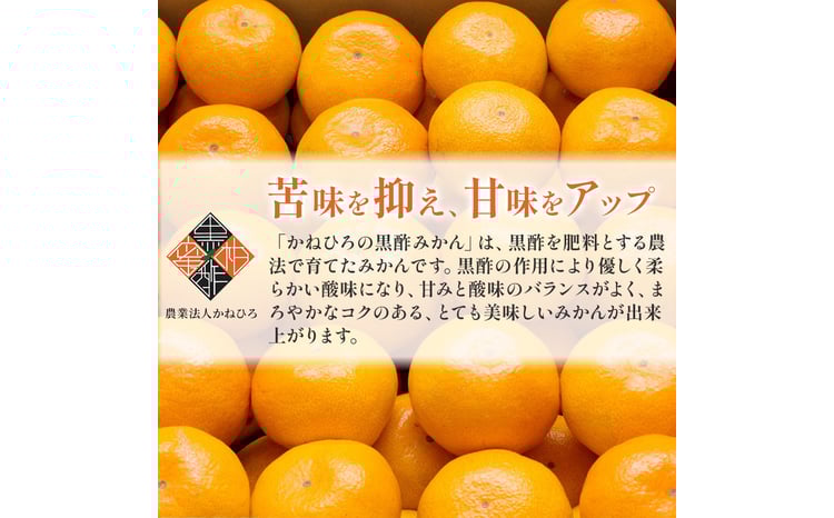 かねひろの黒酢みかん【プレミアム】11kg 【7営業日以内発送】 【2026