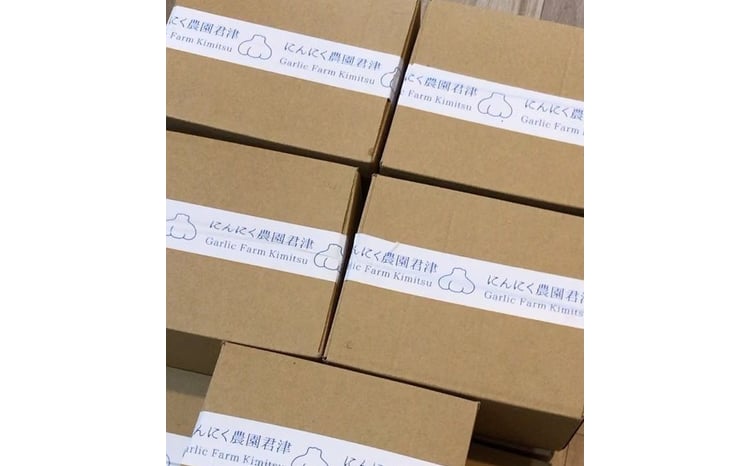 2026年 先行予約 】ジャンボにんにく約1㎏ にんにく農園 君津