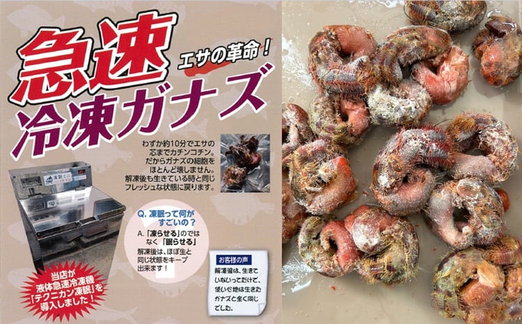 近江屋釣具店】鴨川産 急速冷凍ガナズ(石鯛用釣りエサ)[0009-0033